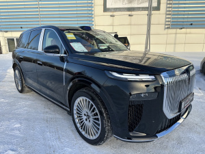 Voyah Taishan Max+ 2025 (5110)